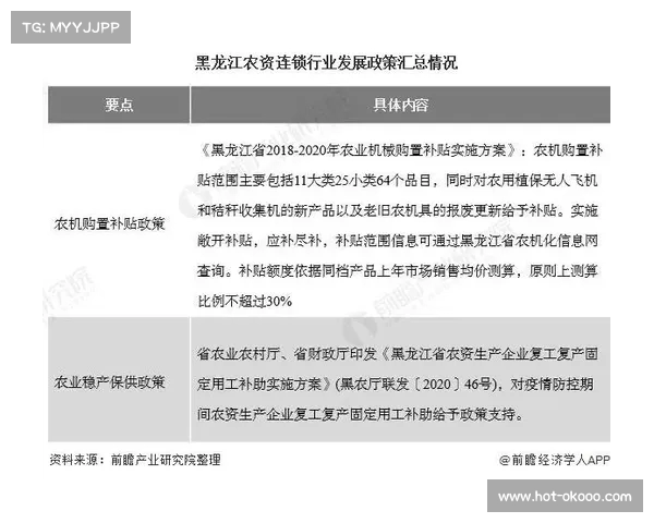 2025英超赛季各大俱乐部财政状况分析与发展趋势探讨 2025英超赛季各大俱乐部财政状况分析与发展趋势探讨